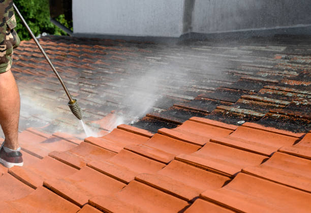 Best Deck Cleaning Services  in Garden City, NY